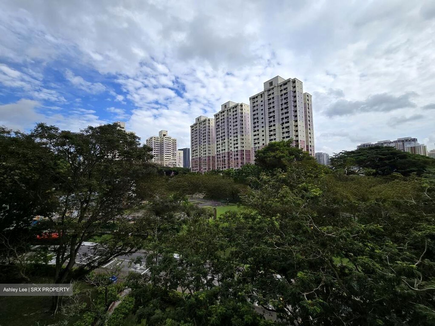 Blk 50 Hoy Fatt Road (Bukit Merah), HDB 4 Rooms #434740341
